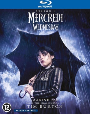 Wednesday - Season 1