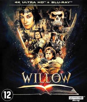 Willow