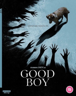 Good Boy (2025)